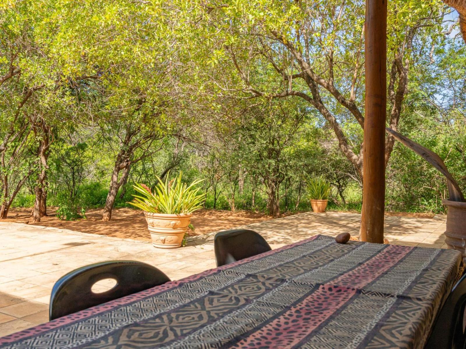 Impala Cottage Hoedspruit Bagian luar foto